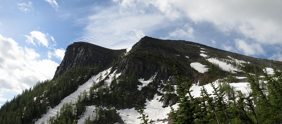 Saddle Mountain (summit on the far right) from the Saddleback Trail