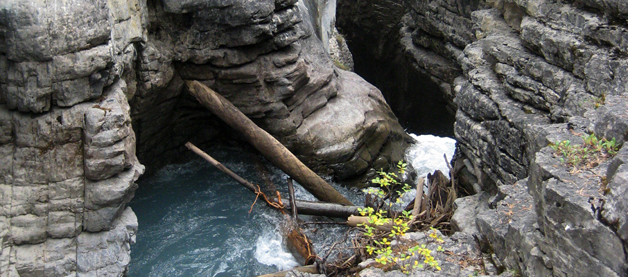 A Logjam in Beauty Creek