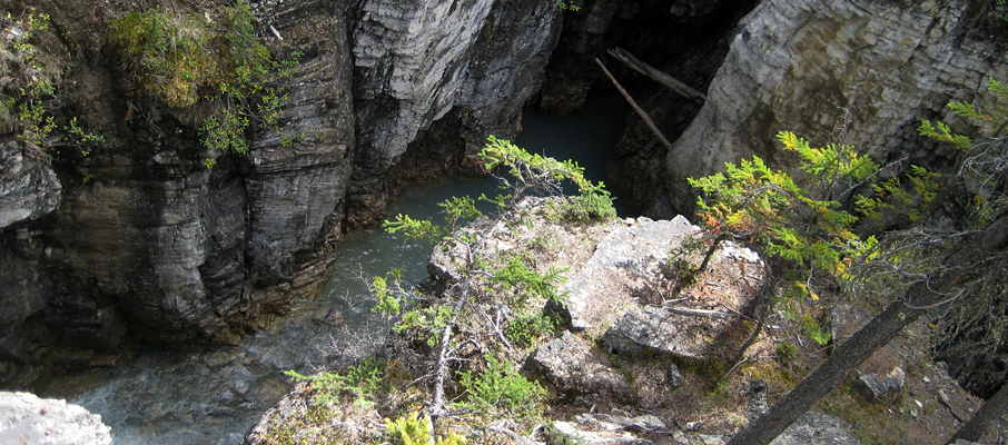 A Canyon View along Beauty Creek